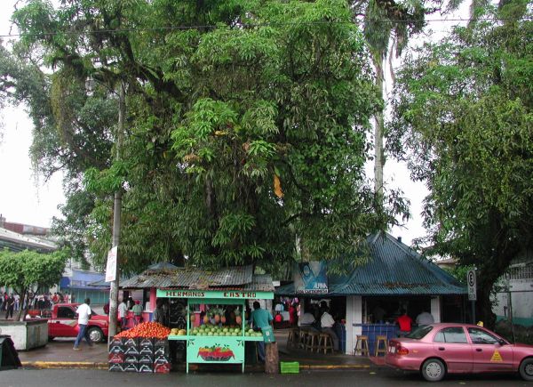 Mercado de Limn