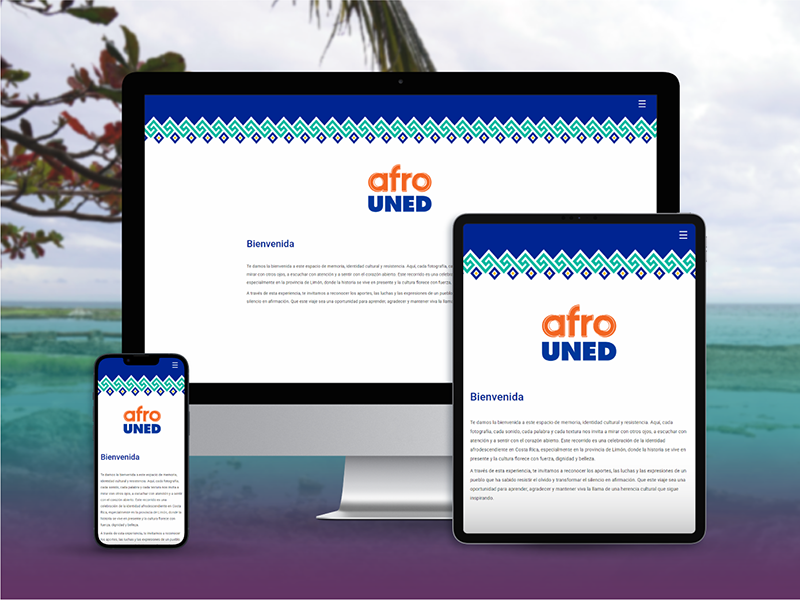 Detalle de Afro UNED