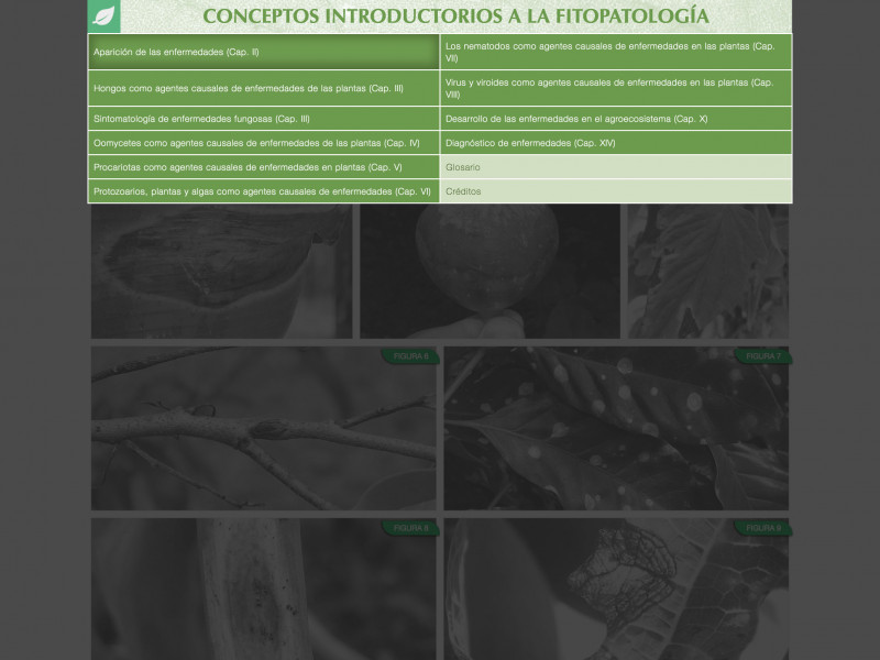 Detalle de Conceptos introductorios a la fitopatología