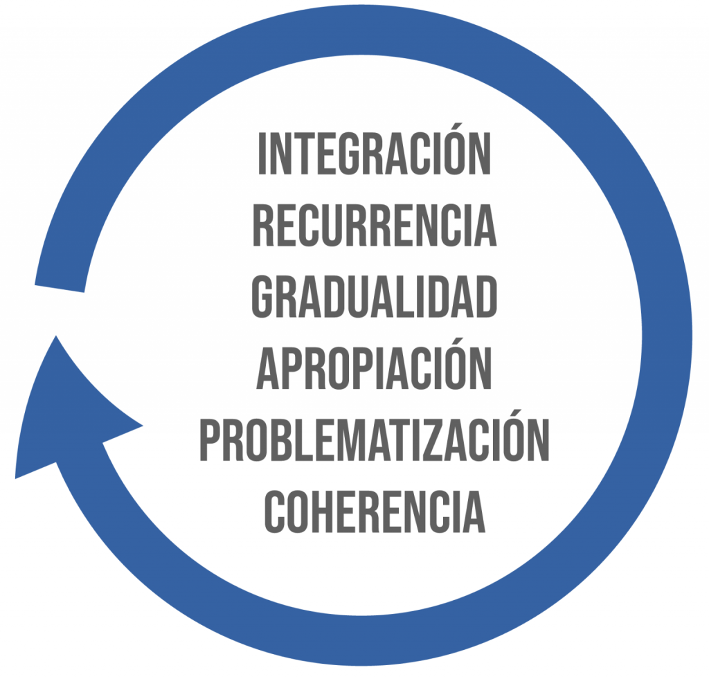 Ciclo de interacción, recurrencia, gradualidad, apropiación, problematización y coherencia