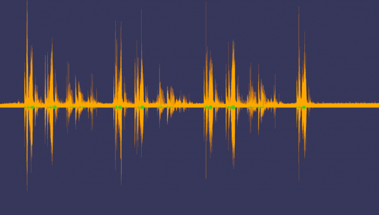 Gráfico en pantalla con análisis de ondas de audio grabado